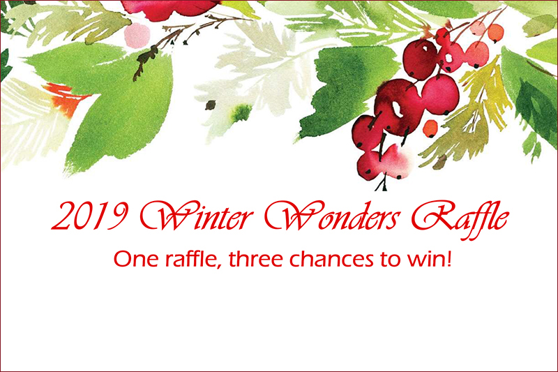 2019 Winter Wonders Raffle