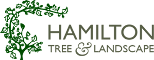 Hamilton Tree & Landscape